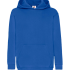 Podgląd modelu Bluza z kapturem - kangurka - CLASSIC HOODED SWEAT F36