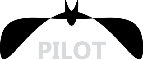 Nadruk SP-SCPT pilot - Tył