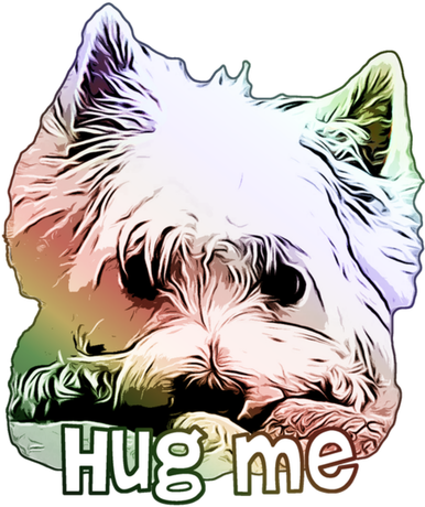 Nadruk 104cm-164cm Hug Me Westie West Highland White Terrier - Przód