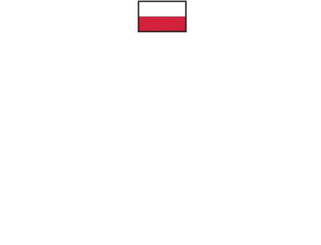 Nadruk WOJSKO POLSKIE - Przód