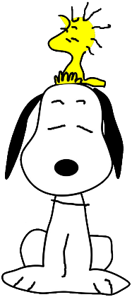 Nadruk Snoopy - Przód
