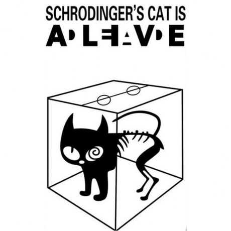Nadruk Schrodinger’s Cat - Przód
