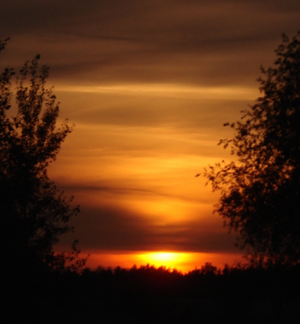 Nadruk Zachód słońca - Tył