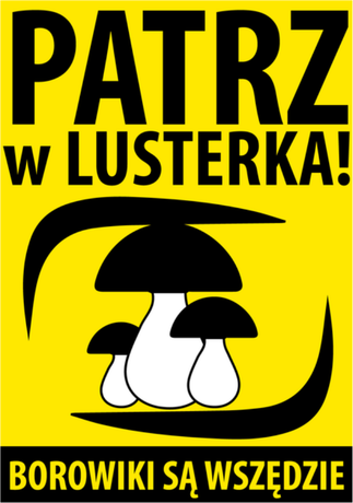 Nadruk Patrz w lusterka - Przód