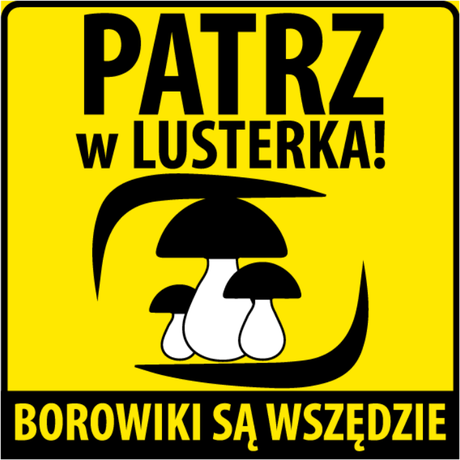 Nadruk Patrz w lusterka - wlepka - Przód