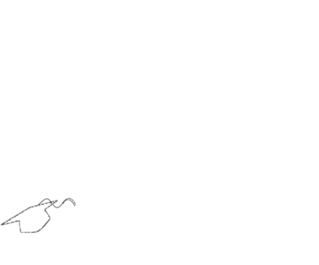 Nadruk Doktorat (ciemne koszulki) - Przód