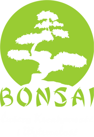 Nadruk Bonsai ćwiczy kreatywność i wytrwałość2 - Przód