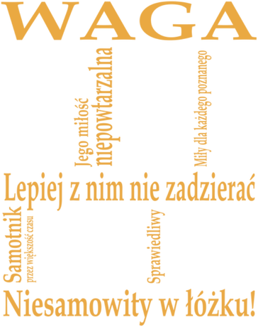 Nadruk WAGA Twój znak zodiaku na koszulce - Przód