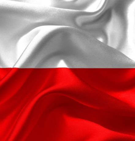 Nadruk z flagą polski - Przód