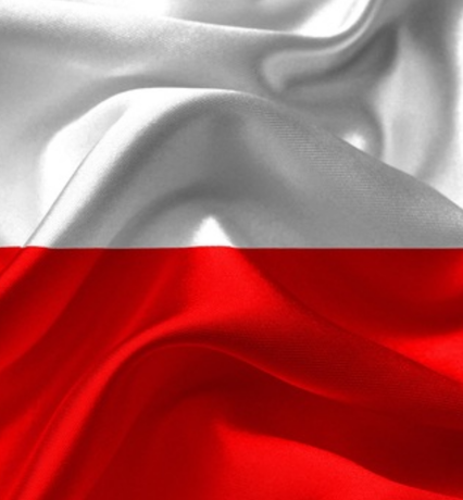 Nadruk z flagą polski - Tył