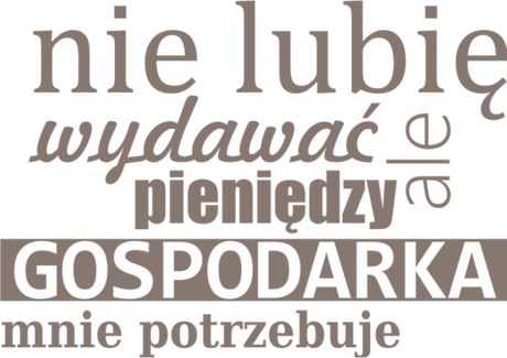 Nadruk nie lubię wydawać pieniędzy, ale gospodarka mnie potrzebuje - Przód