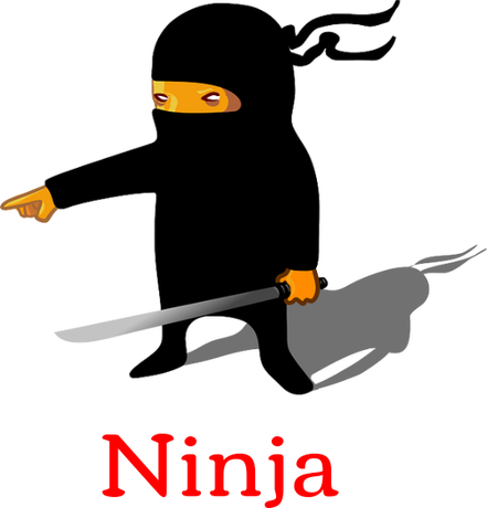 Nadruk Ninja 9 - Przód