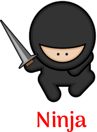 Nadruk Ninja 4 - Przód
