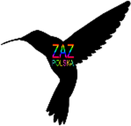 Nadruk ZAZ POLSKA logo kolor MĘSKA - Tył