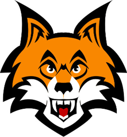 Nadruk Pluszowy Miś Foxy - Przód