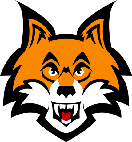 Nadruk Poduszka Fullprint Foxy - Przód