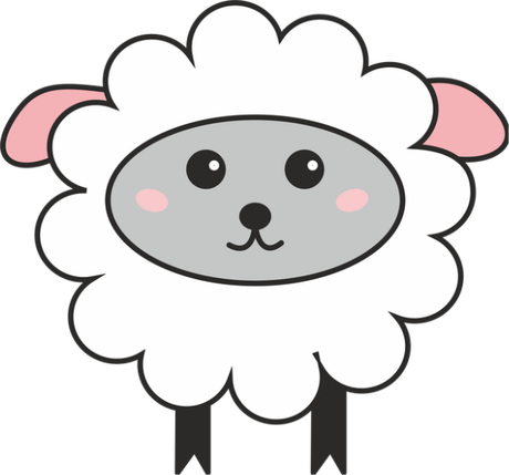 Nadruk owca - Przód