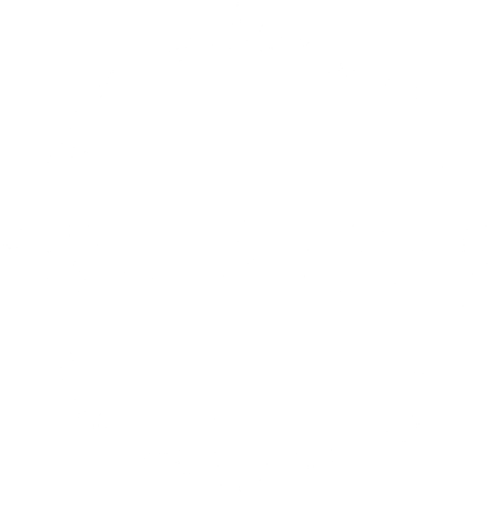 Nadruk Octagon - Przód