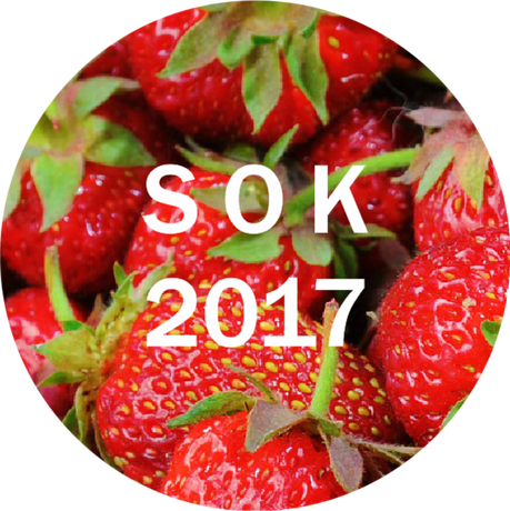 Nadruk sok truskawkosy 2017 - Przód