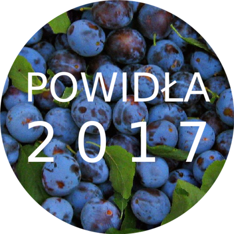 Nadruk powidła 2017 - Przód