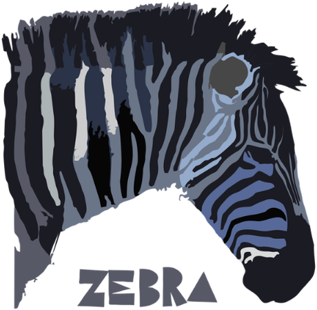 Nadruk Zebra - Przód