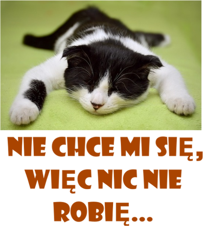 Nadruk NIE CHCE MISIE 2378 - Przód