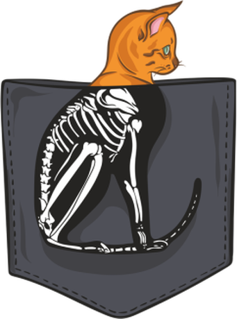 Nadruk cat skeleton pocket - Przód