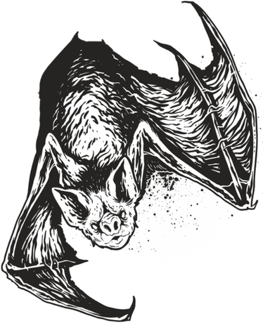 Nadruk The Bat - Przód