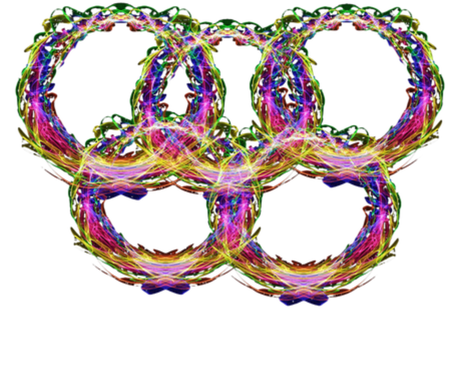Nadruk olimpijska PyeongChang 2018 z napisem 2 - Przód