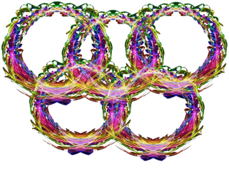 Nadruk damska olimpijska PyeongChang 2018 z napisem - Przód