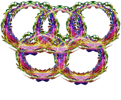 Nadruk olimpijska PyeongChang 2018 z napisem 2 - Przód