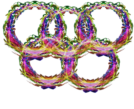 Nadruk damska olimpijska PyeongChang 2018 z napisem 2 - Przód