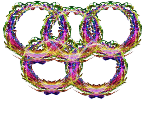 Nadruk dziecięca olimpijska PyeongChang 2018 z napisem 2 - Przód