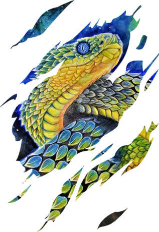 Nadruk Snake green - Przód