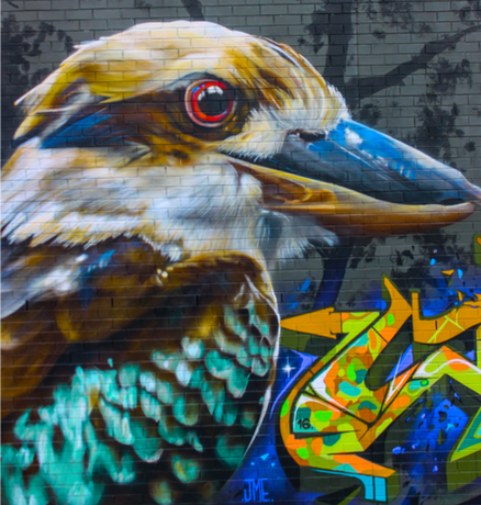 Nadruk Perth Graffiti - Przód
