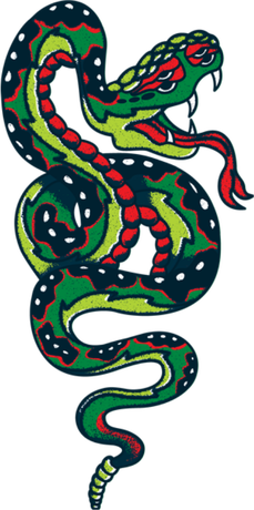 Nadruk Snake - Przód