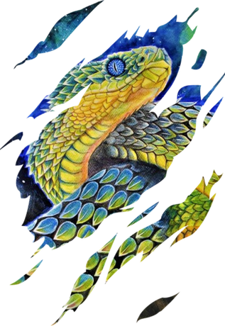 Nadruk snake green - Przód
