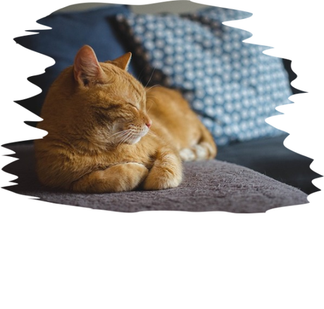 Nadruk PLAN NA WEEKEND - Przód