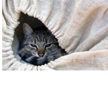 Nadruk PLAN NA WEEKEND - Przód