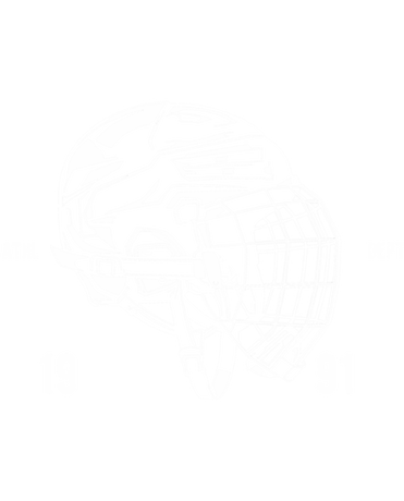 Nadruk Hockey Heroes - Przód