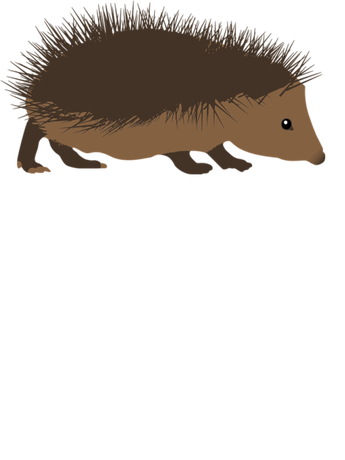 Nadruk JEŻ - Przód