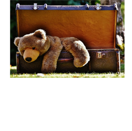 Nadruk SENS DZIAŁANIA - Przód