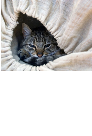 Nadruk POTRZEBUJĘ ODPOCZYNKU - Przód