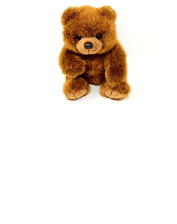 Nadruk ZASADY ŻYCIOWE - Przód