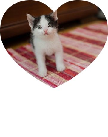 Nadruk UROK OSOBISTY - Przód