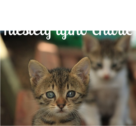 Nadruk tylko chwile - Przód