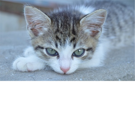 Nadruk chwile 9888 - Przód