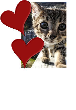 Nadruk WOLĘ 74E65 - Przód