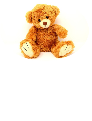 Nadruk PLUSZOWY MIŚ 5755 - Przód