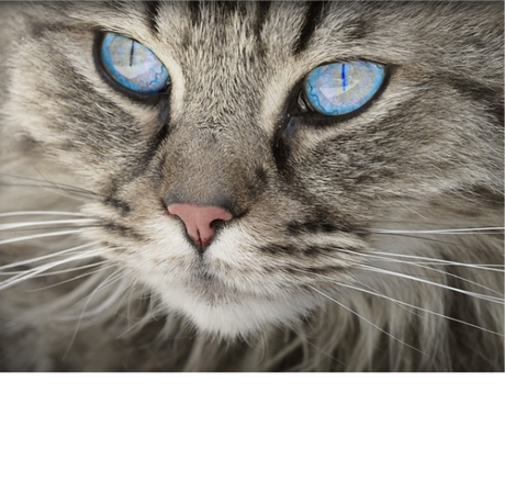 Nadruk SPOJRZENIE 922 - Przód